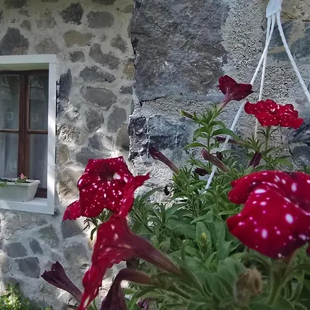 Plisi I Bardhe Agroturizem Casa de Campo Gjelaj